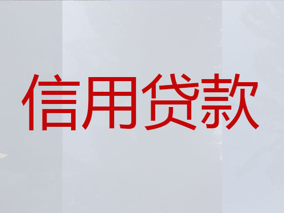 漳平市抵押贷款公司-银行信用贷款